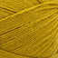 Maize - Swatch Image