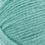 Succulent - Swatch Image