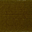 Cilantro - Swatch Image