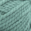 Succulent - Swatch Image