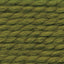 Cilantro - Swatch Image
