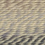 Moonlight - Swatch Image