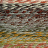 swatch__Coney Island thumbnail