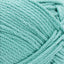 Succulent - Swatch Image