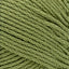 Bayleaf - Swatch Image