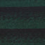 Forest/Black - Swatch Image