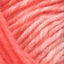 Coral/Cream - Swatch Image