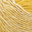 Mustard/Ice Pink - Swatch Image