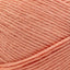 Coral - Swatch Image