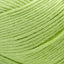 Celery - Swatch Image