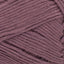 Raisin - Swatch Image