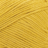swatch__Maize thumbnail