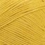 Maize - Swatch Image