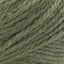 Evergreen - Swatch Image
