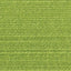 Pistachio - Swatch Image