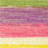swatch__Circus Print thumbnail