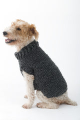 The Poet Dog Sweater - Version 2 image 1 thumbnail