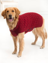 Clifford Dog Sweater image 1 thumbnail