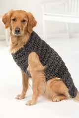 Marley Dog Sweater - Version 2 image 1 thumbnail